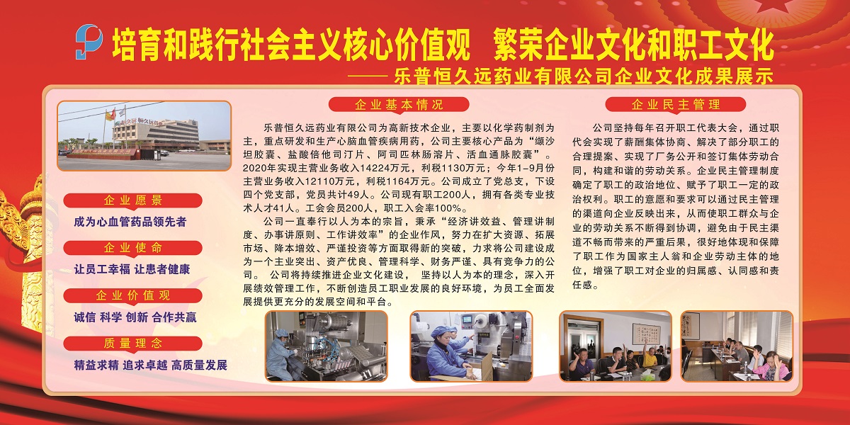 乐普恒久远-企业文化版面1